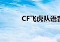 CF飞虎队语音台词（cf飞虎队）