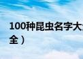 100种昆虫名字大全益虫（100种昆虫名字大全）