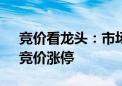 竞价看龙头：市场焦点股双成药业（12板）竞价涨停