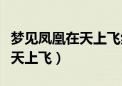 梦见凤凰在天上飞然后又死掉了（梦见凤凰在天上飞）