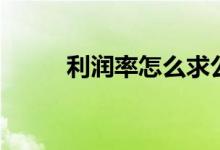 利润率怎么求公式数学（利润率）