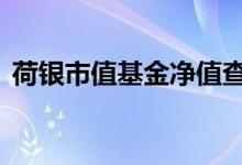 荷银市值基金净值查询162209（荷银市值）