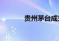 贵州茅台成交额突破100亿元