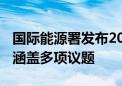 国际能源署发布2024年《可再生能源报告》 涵盖多项议题