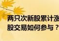 两只次新股累计涨超2000% A股巨幅震荡新股交易如何参与？