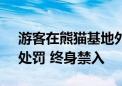 游客在熊猫基地外展场地放飞无人机 官方：处罚 终身禁入