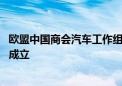 欧盟中国商会汽车工作组筹备会在慕尼黑举行 拟年底前正式成立