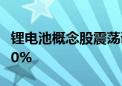 锂电池概念股震荡调整 宁德时代等多股跌超10%