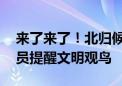 来了来了！北归候鸟先头部队已抵京 巡护人员提醒文明观鸟