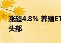 涨超4.8% 养殖ETF近2周涨幅排名可比基金头部