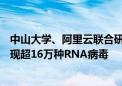 中山大学、阿里云联合研究成果在国际顶刊《Cell》发表 发现超16万种RNA病毒