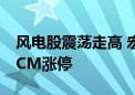 风电股震荡走高 宏德股份、飞沃科技双双20CM涨停