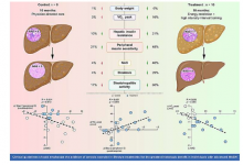 新研究表明高强度间歇训练计划和限制饮食可逆转肝损伤