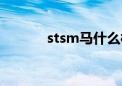 stsm马什么样子（stsm刷马）