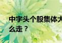 中字头个股集体大涨 ETF紧急调仓！后市怎么走？