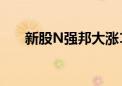 新股N强邦大涨1070% 触发临时停牌