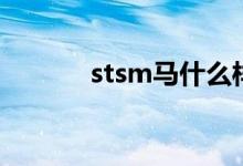 stsm马什么样子（stsm刷马）