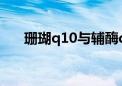 珊瑚q10与辅酶q10的区别（珊瑚qq）