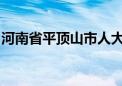 河南省平顶山市人大常委会副主任丁国浩被查