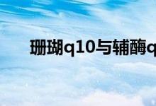 珊瑚q10与辅酶q10的区别（珊瑚qq）