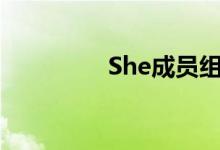 She成员组合（she成员）