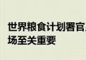 世界粮食计划署官员：保护黎巴嫩的港口和机场至关重要