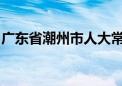 广东省潮州市人大常委会原副主任林小群被查