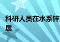 科研人员在水系锌离子电池研究方面取得新进展