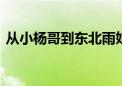 从小杨哥到东北雨姐 直播带货不能野蛮生长