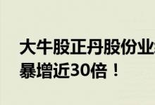 大牛股正丹股份业绩大幅上涨 前三季度净利暴增近30倍！