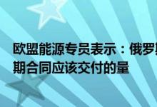 欧盟能源专员表示：俄罗斯的天然气交付量“明显高于”长期合同应该交付的量