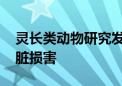 灵长类动物研究发现 饮食中的果糖会造成肝脏损害