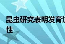 昆虫研究表明发育过程中的饮食会影响交配习性