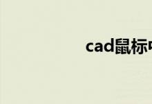 cad鼠标中键不能平移